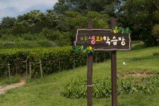 Sign at Olympic Park in Seoul